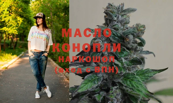 индика Магас