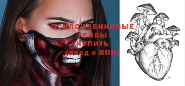 тгк Майский