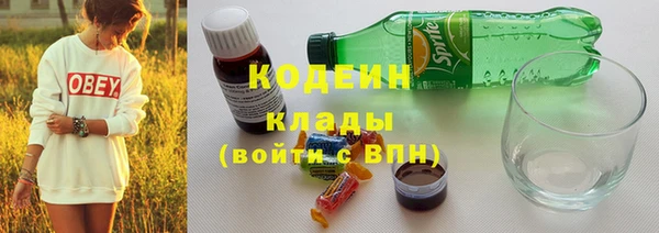 индика Магас