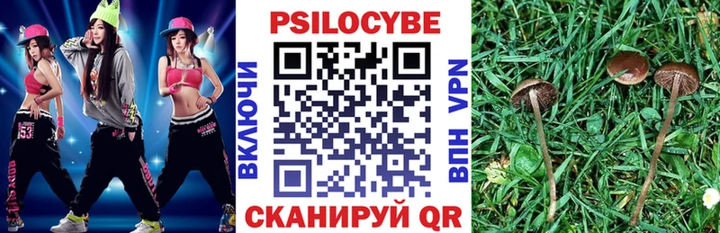 Галлюциногенные грибы мухоморы  Михайловск 