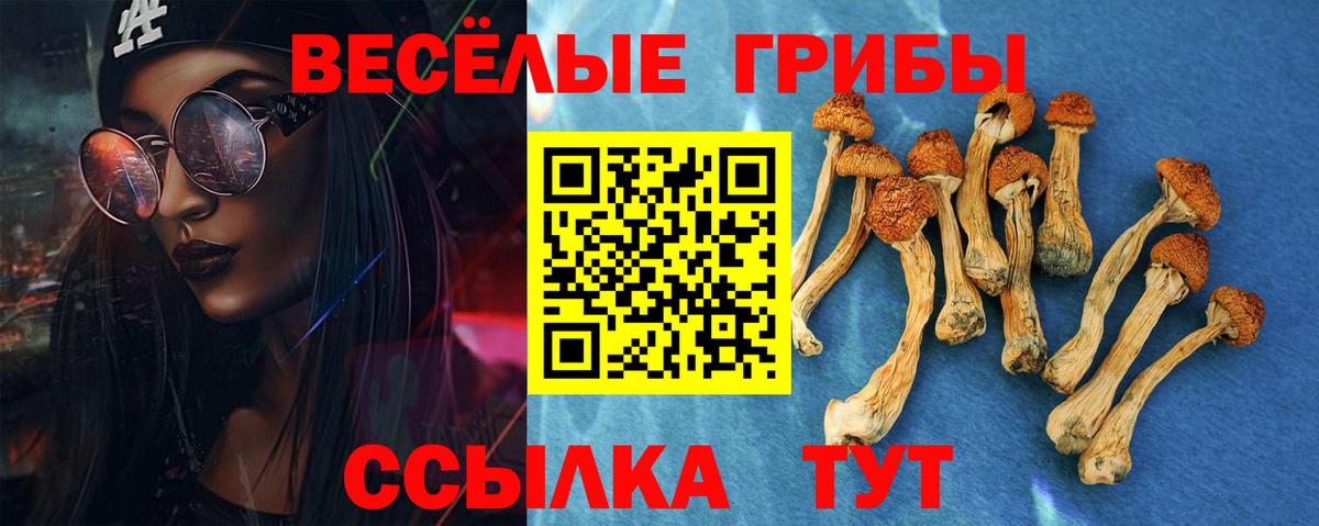 Михайловск  Псилоцибиновые грибы Psilocybe  Вход с VPN 